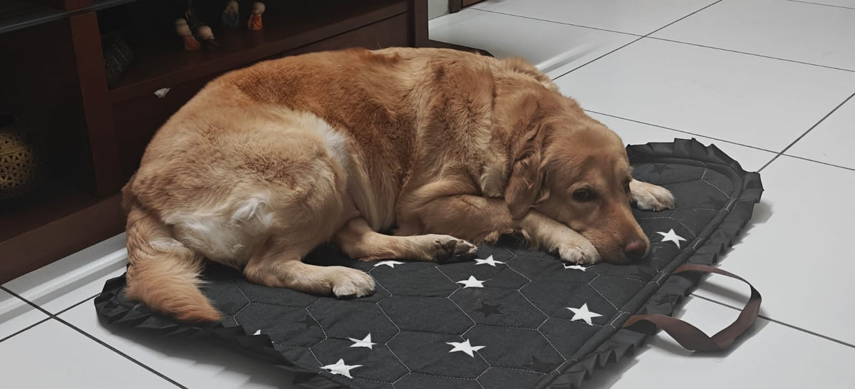 Sustainable Folding Pet / Dog Mat